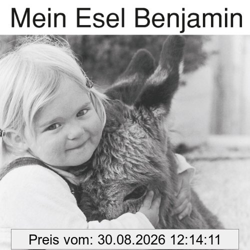 Mein Esel Benjamin