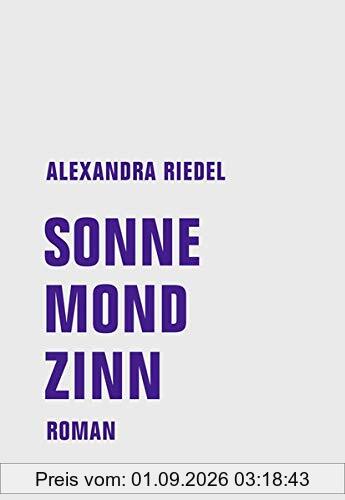Sonne, Mond, Zinn: Roman