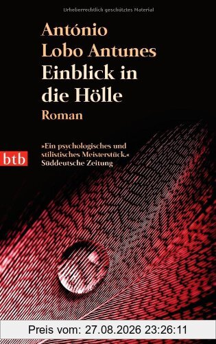 Einblick in die Hölle: Roman