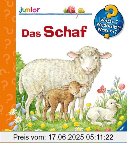 Binding : Spiralbindung, Edition : 1, Label : Ravensburger Buchverlag, Publisher : Ravensburger Buchverlag, medium : Sonstige Einbände, numberOfPages : 16, publicationDate : 2009-06-01, authors : Anne Möller, languages : german, ISBN : 3473327905