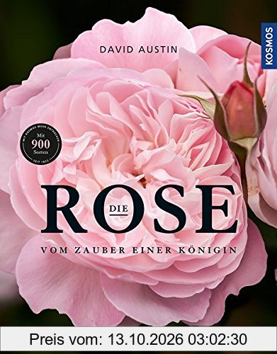 Die Rose: Vom Zauber einer Königin