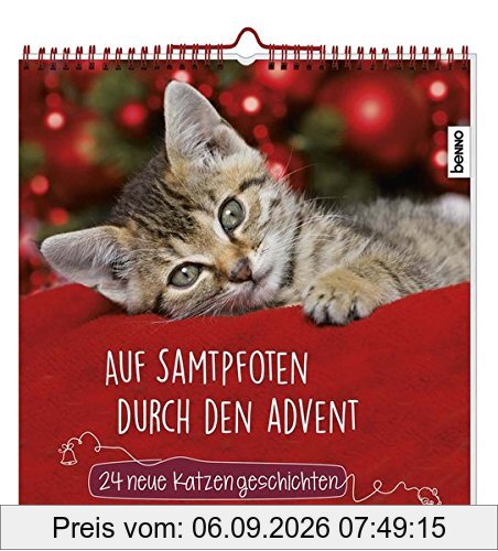 Auf Samtpfoten durch den Advent: 24 neue Katzengeschichten