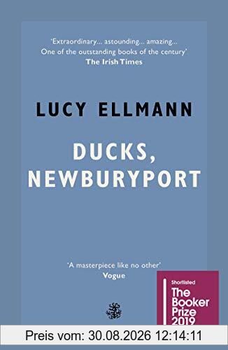 Ducks, Newburyport