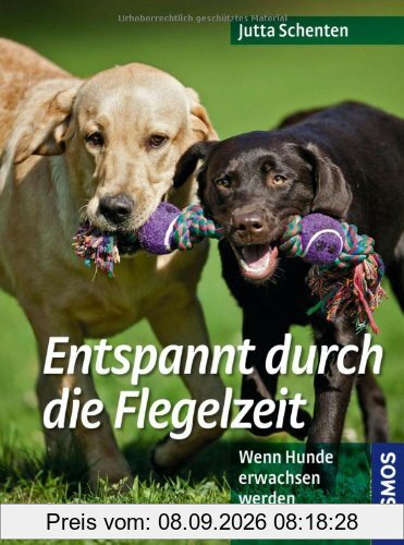 Entspannt durch die Flegelzeit: Wenn Hunde erwachsen werden