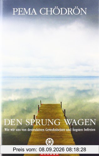 Den Sprung wagen: Wie wir uns von destruktiven Gewohnheiten und Ängsten befreien
