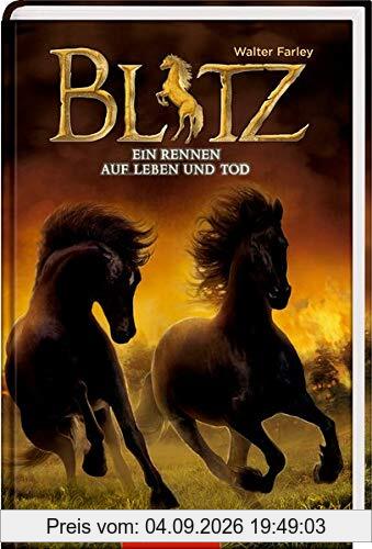 Blitz (Bd. 4): Ein Rennen auf Leben und Tod