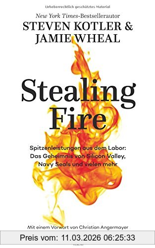 Steven Kotler Stealing Fire, Spitzenleistungen Aus Dem Labor, Das Geheimnis Von Silicon Valley, Navy Seals Und Vielen Mehr