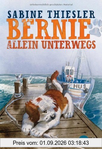 Bernie allein unterwegs: Roman (Heyne fliegt)