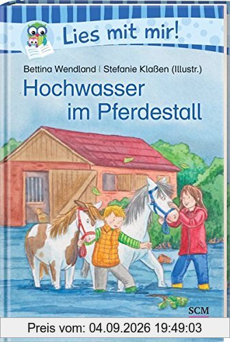 Hochwasser im Pferdestall