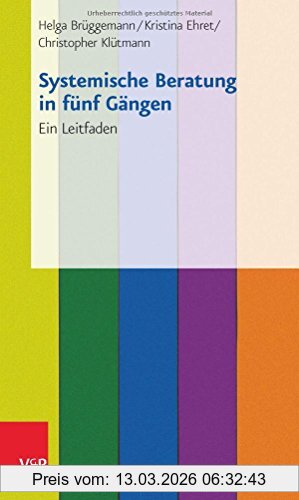Helga Brüggemann Systemische Beratung In Fünf Gängen, Ein Leitfaden