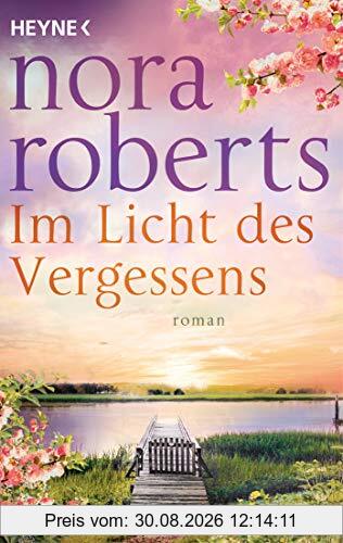 Im Licht des Vergessens: Roman