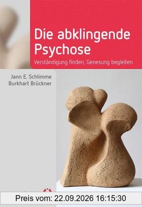 Die abklingende Psychose: Verständigung finden, Genesung begleiten (Fachwissen)