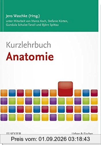 Kurzlehrbuch Anatomie