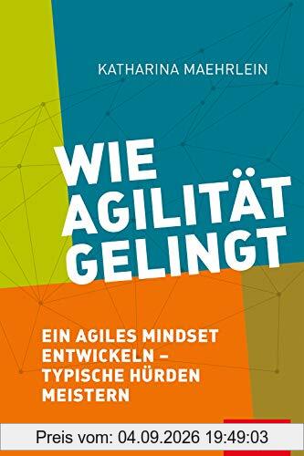 Wie Agilität gelingt: Ein agiles Mindset entwickeln – typische Hürden meistern (Dein Business)