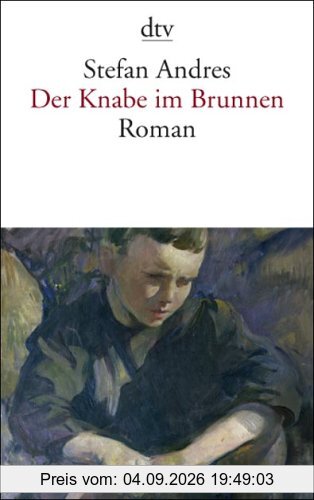 Der Knabe im Brunnen: Roman
