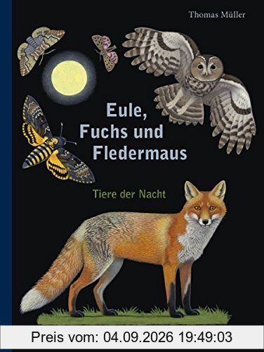 Eule, Fuchs und Fledermaus