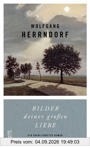 Bilder deiner großen Liebe: Ein unvollendeter Roman