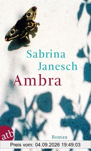Ambra: Roman