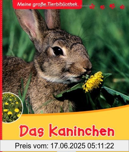 Binding : Gebundene Ausgabe, Edition : 1., Aufl., Label : Esslinger Verlag Schreiber, Publisher : Esslinger Verlag Schreiber, medium : Gebundene Ausgabe, numberOfPages : 29, publicationDate : 2009-03-16, authors : Valérie Tracqui, translators : Anne Brauner, languages : german, ISBN : 3480225624