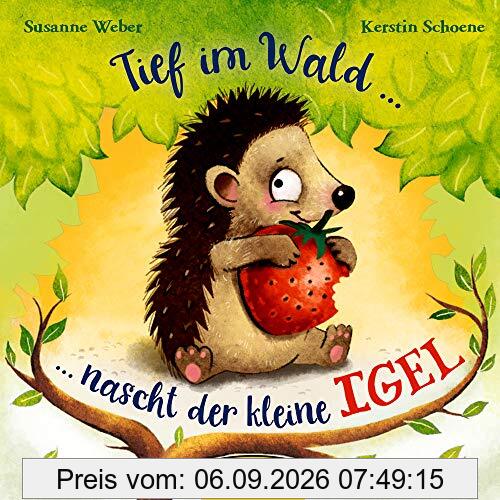 Tief im Wald: ... nascht der kleine Igel