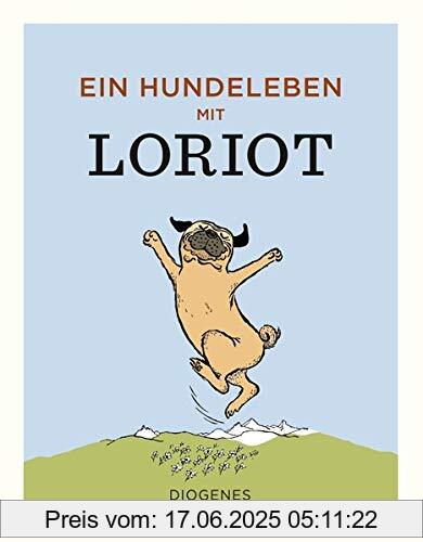 Binding : Gebundene Ausgabe, Edition : 1, Label : Diogenes, Publisher : Diogenes, medium : Gebundene Ausgabe, numberOfPages : 128, publicationDate : 2020-09-23, releaseDate : 2020-09-23, authors : Loriot, ISBN : 3257021739