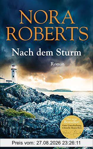 Nach dem Sturm: Roman