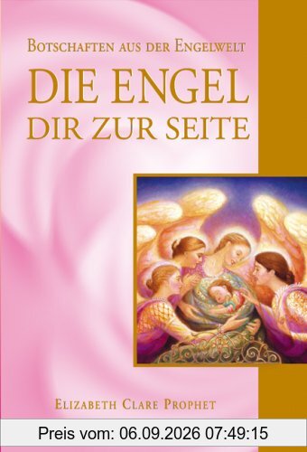 Die Engel dir zur Seite: Botschaften aus der Engelwelt