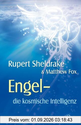 Engel - Die kosmische Intelligenz