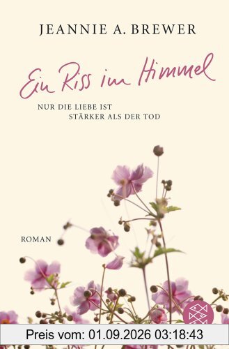Ein Riss im Himmel: Roman: Nur die Liebe ist stärker als der Tod