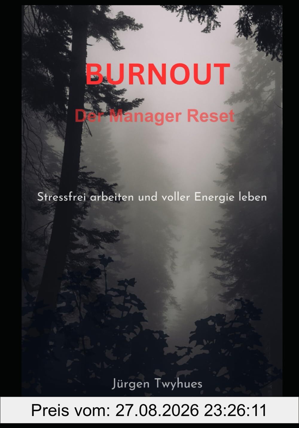 Burnout: Der Manager Reset - Stressfrei arbeiten und voller Energie leben