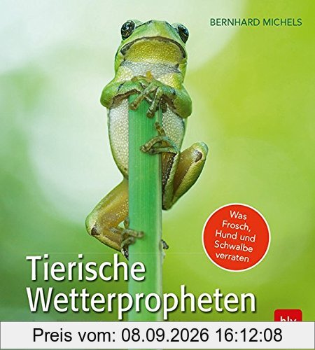 Tierische Wetterpropheten: Aus Tierverhalten das Wetter deuten