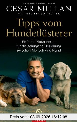 Tipps vom Hundeflüsterer: Einfache Maßnahmen für die gelungene Beziehung zwischen Mensch und Hund