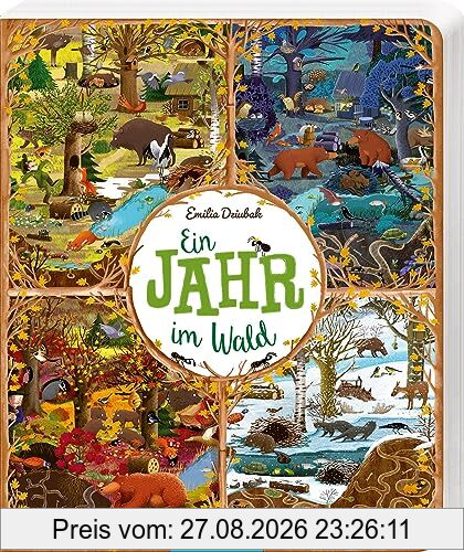Ein Jahr im Wald: Pappbilderbuch Tiere und Jahreszeiten im Wald, ab 3 Jahren