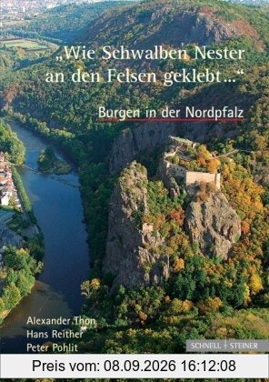 Wie Schwalben Nester an den Felsen geklebt.... Burgen in der Nordpfalz