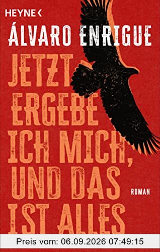 Jetzt ergebe ich mich, und das ist alles: Roman