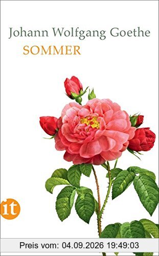 Sommer (insel taschenbuch)