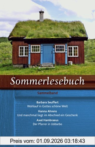 Sommerlesebuch. Drei Erzählungen in einem Band
