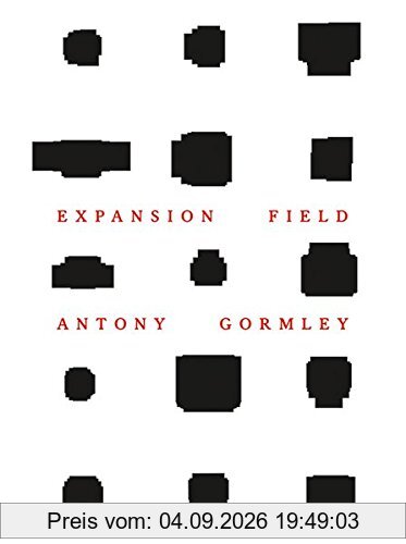 Antony Gormley: Expansion Field
