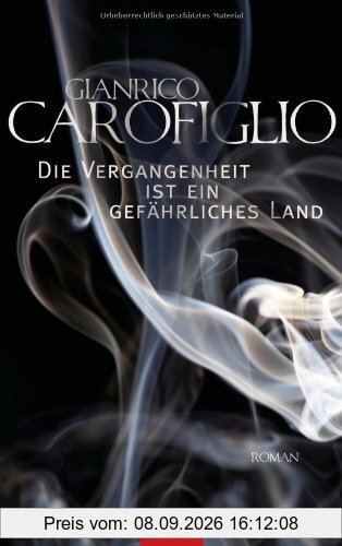 Die Vergangenheit ist ein gefährliches Land: Roman