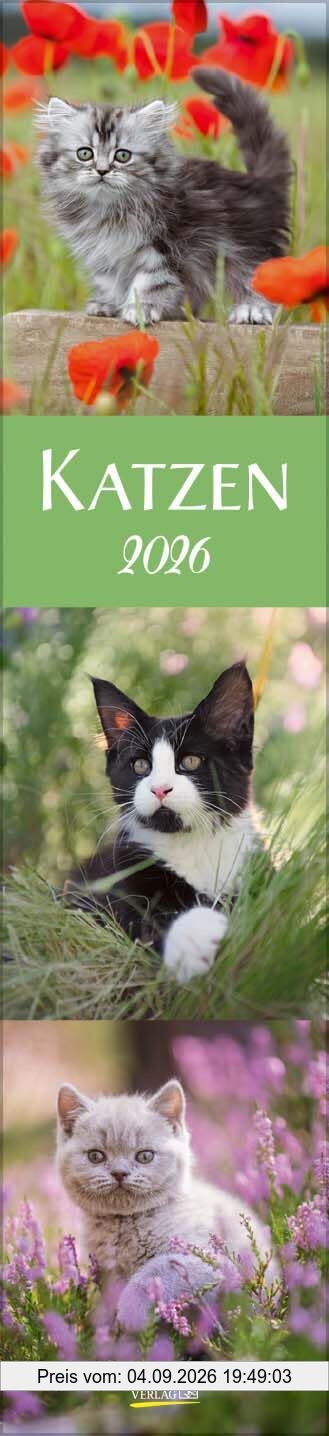 Katzen Langplaner 2026: Langplaner