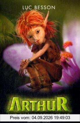 Arthur und die verbotene Stadt: Bd. 2