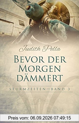 Bevor der Morgen dämmert (Sturmzeiten)