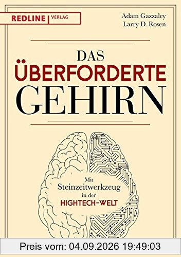Das überforderte Gehirn: Mit Steinzeitwerkzeug in der Hightech-Welt