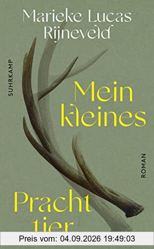 Mein kleines Prachttier: Roman (suhrkamp taschenbuch)