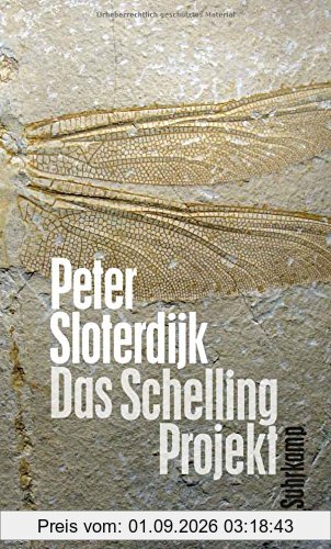 Das Schelling-Projekt: Bericht