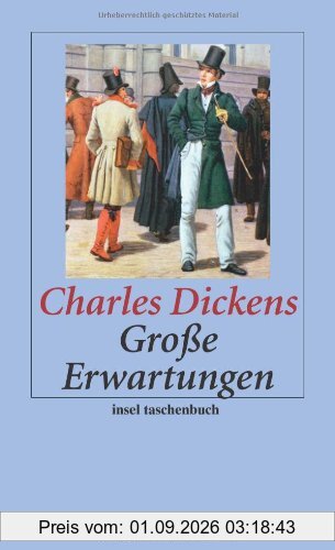 Große Erwartungen (insel taschenbuch)