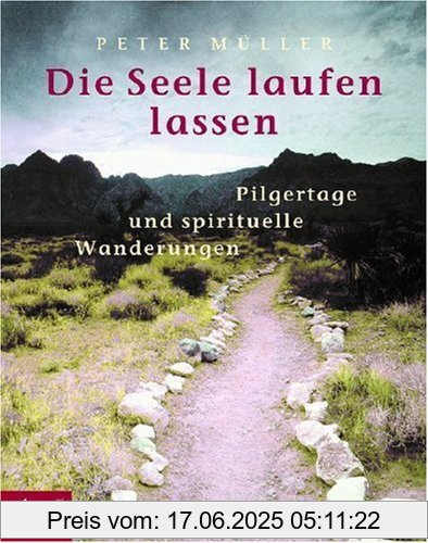 Binding : Taschenbuch, Edition : 3, Label : Kösel-Verlag, Publisher : Kösel-Verlag, medium : Taschenbuch, numberOfPages : 176, publicationDate : 2004-02-19, authors : Peter Müller, languages : german, ISBN : 3466366496