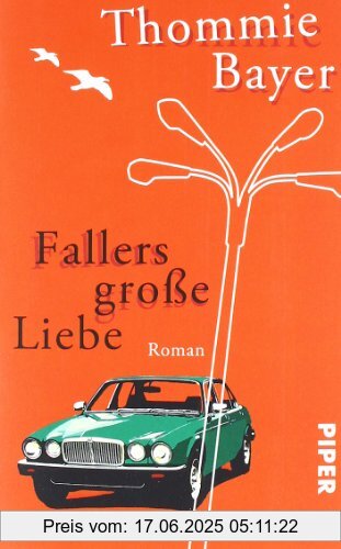 Binding : Taschenbuch, Edition : 7, Label : Piper Taschenbuch, Publisher : Piper Taschenbuch, medium : Taschenbuch, numberOfPages : 208, publicationDate : 2011-06-01, authors : Thommie Bayer, languages : german, ISBN : 3492272142