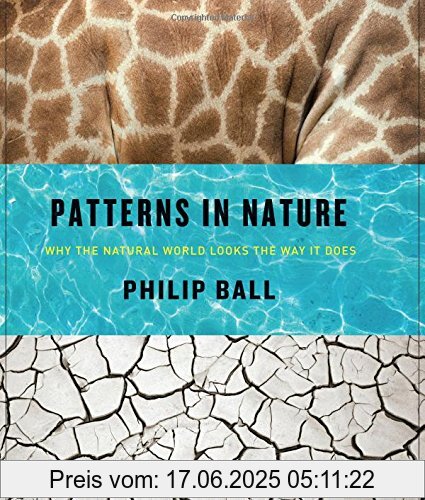 Binding : Gebundene Ausgabe, Label : University of Chicago Pr., Publisher : University of Chicago Pr., PackageQuantity : 1, medium : Gebundene Ausgabe, numberOfPages : 288, publicationDate : 2016-05-17, authors : Philip Ball, languages : english, ISBN : 022633242X