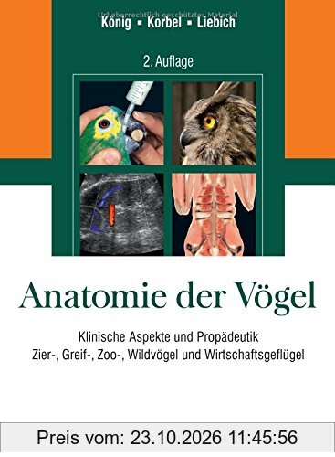 Anatomie der Vögel
